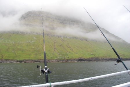 DSC_0204.JPG