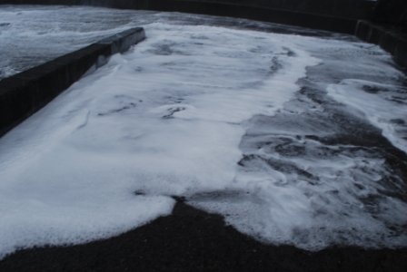 DSC_0343.JPG