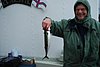DSC_0185.JPG