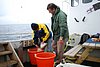 DSC_0192.JPG