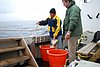 DSC_0193.JPG