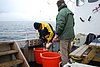 DSC_0194.JPG