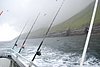 DSC_0198.JPG