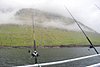 DSC_0204.JPG