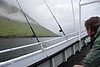 DSC_0205.JPG