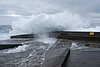 DSC_0336.JPG